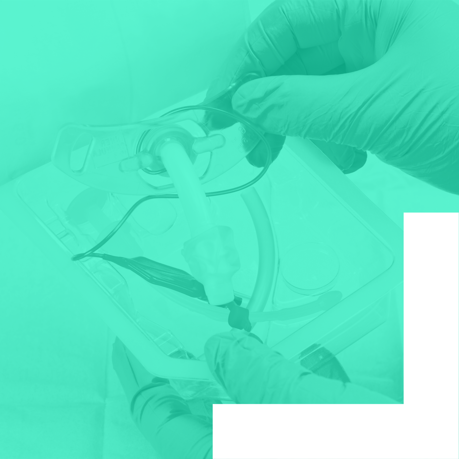 TRACHEOSTOMY: A TO Z — Acute SLP